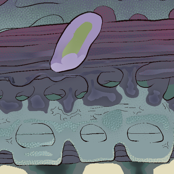 enlarged section of the undulating masses